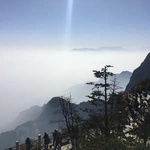 雅典娜遭强高潮开双腿
