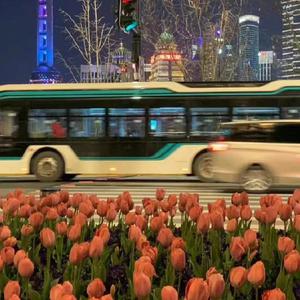 雅典娜遭强高潮开双腿
